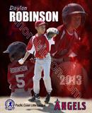 Daylan Baseball