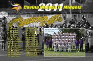 Team2011